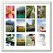ArtToFrames Collage Photo Picture Frame with 12 - 5x7 inch Openings, Framed in White with Over 62 Mat Color Options and Plexi Glass (CSM-3966-229)